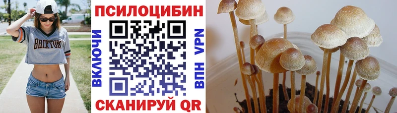 кракен вход  нарко площадка как зайти  Псилоцибиновые грибы GOLDEN TEACHER  цены   Спасск 